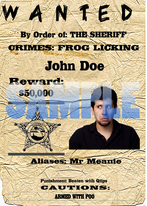 Fake "Wanted" Poster, Old West Style