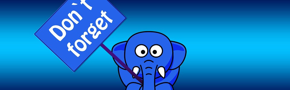 Elephant proboscis shield memory