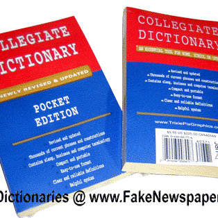 Fake Dictionary