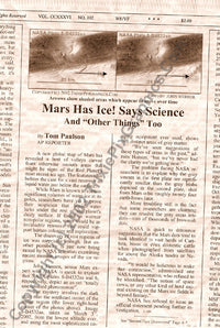 Fake Newspaper Article SPACE COWS