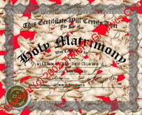 FC-17 Fake Marriage Certificate
