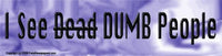 Bumper Stickers