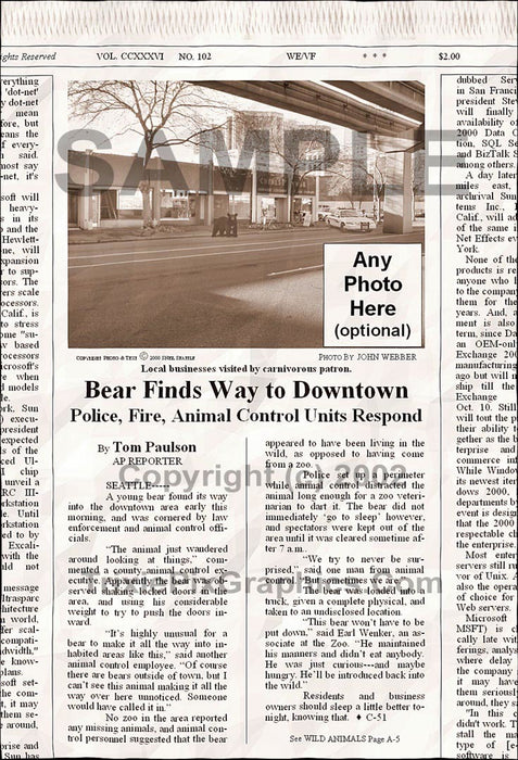 Fake Newspaper Article BEAR FINDS WAY TO DOWNTOWN SEATTLE