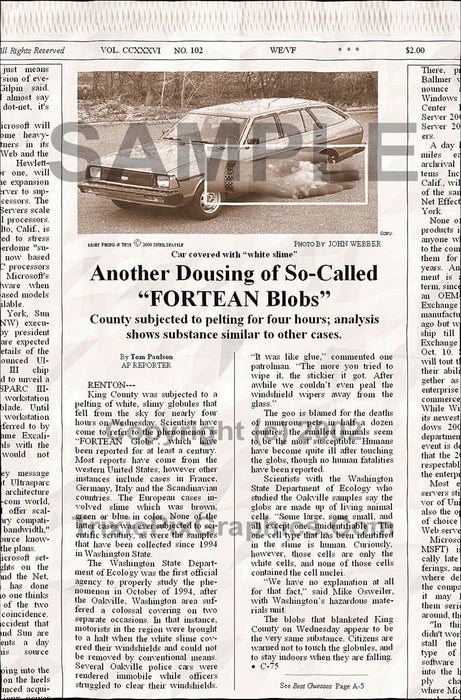 Fake Newspaper Article CAR COVERED WITH "WHITE