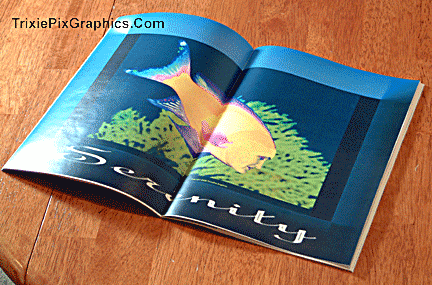 Fake Magazines