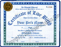 Committed Relationship