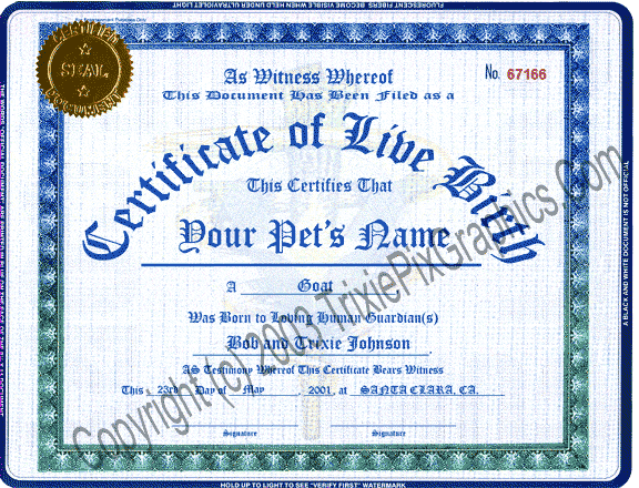Fake Pet Birth Certificate