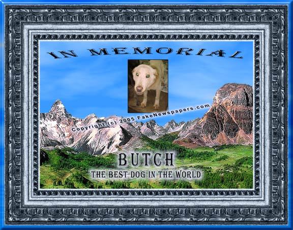 Pet Memorial Certificate