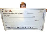 22×42 inches Giant Checks on flexible dry-erase (FCH-4)