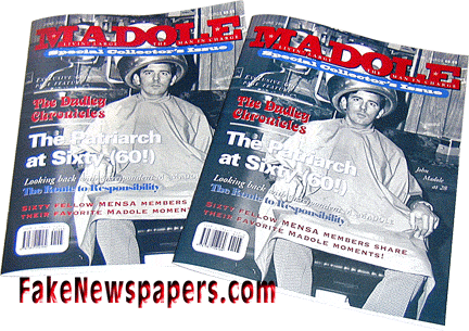 Fake Magazines