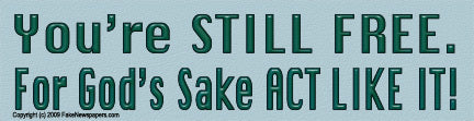 Bumper Stickers